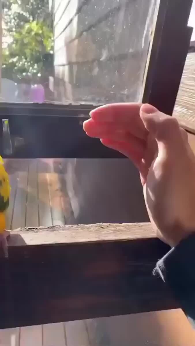 Обнимашки 🥰