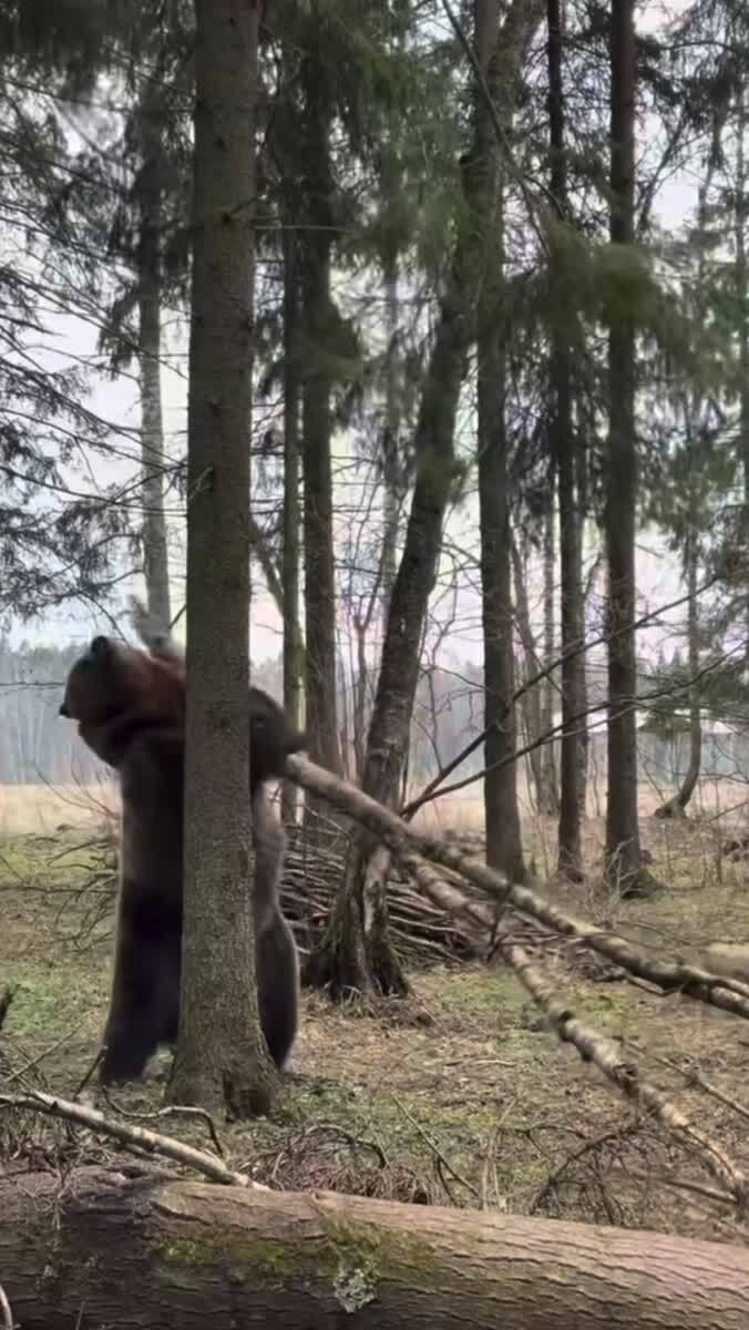 Нужен такой помощник дома