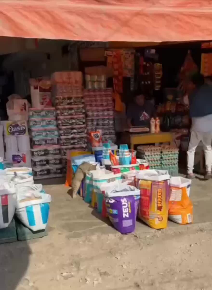 Тестировщик продукции