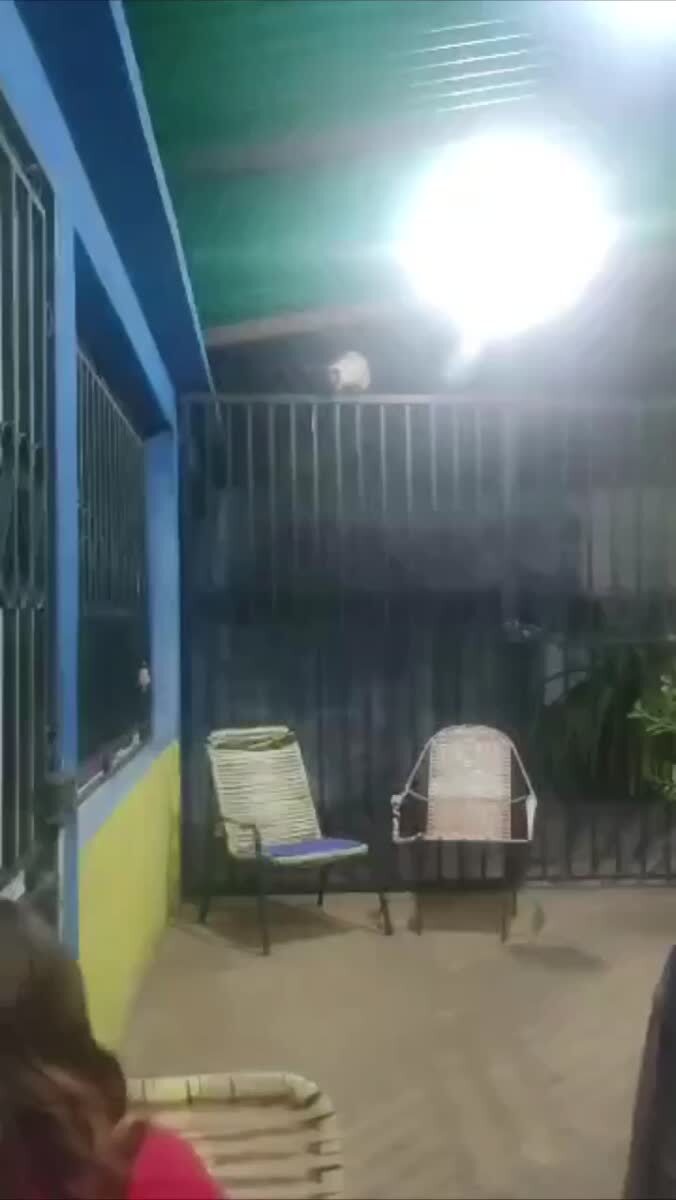 Давайте признаем, это было эффектно