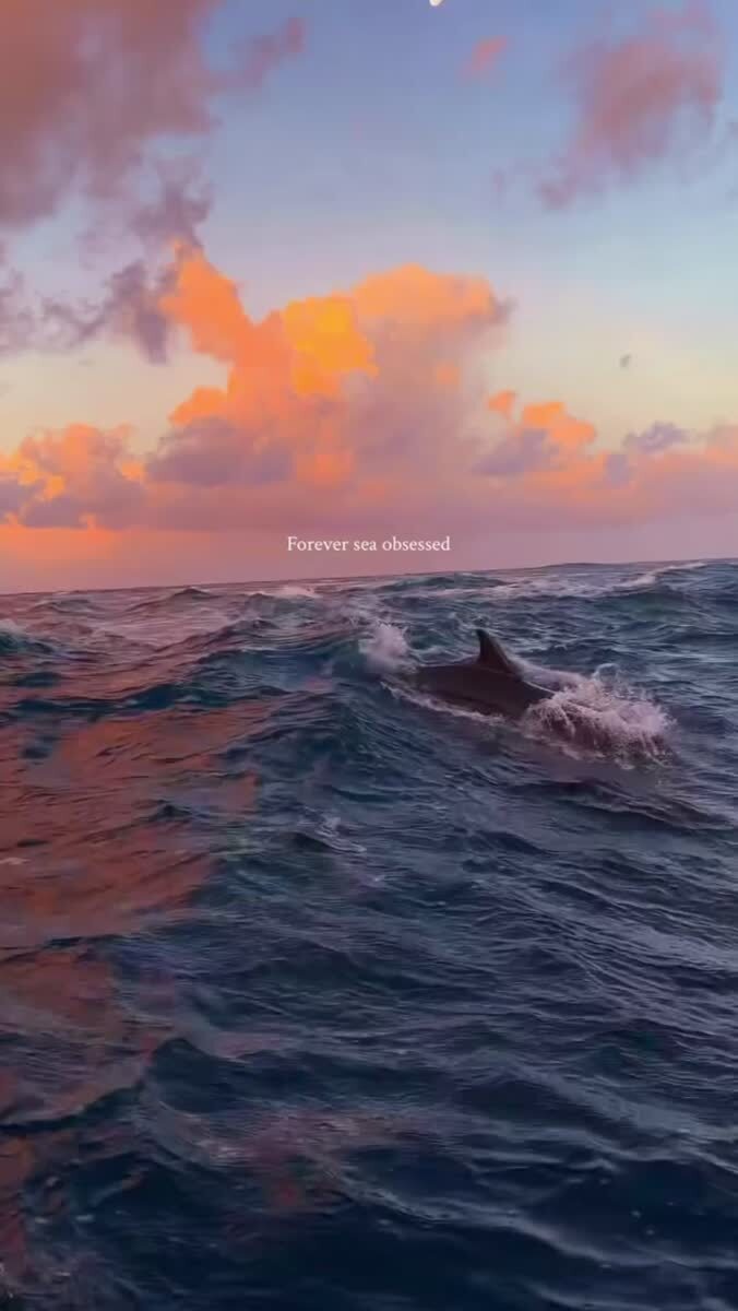 Море 🌊 