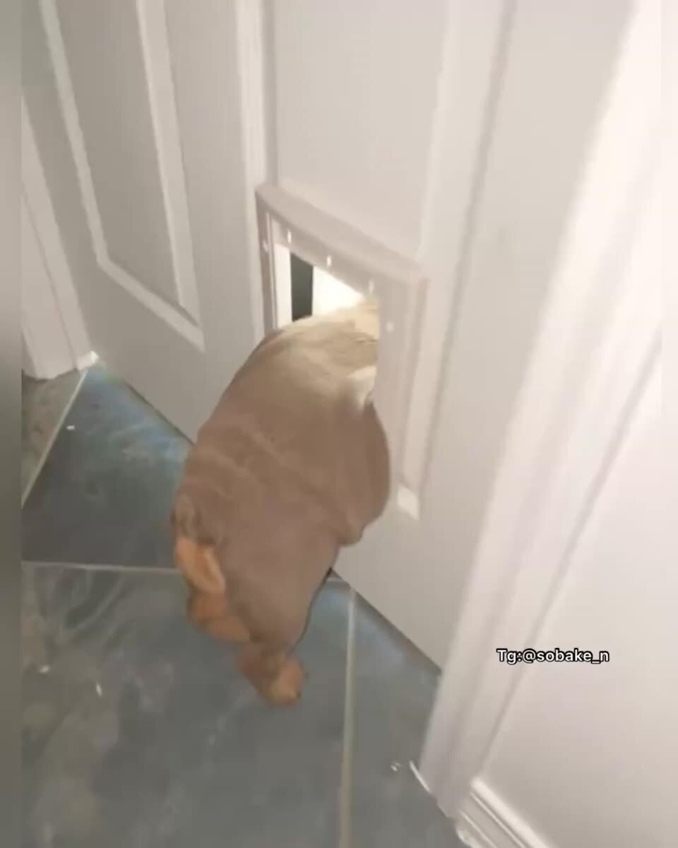 Это потому что кто-то очень много ест...