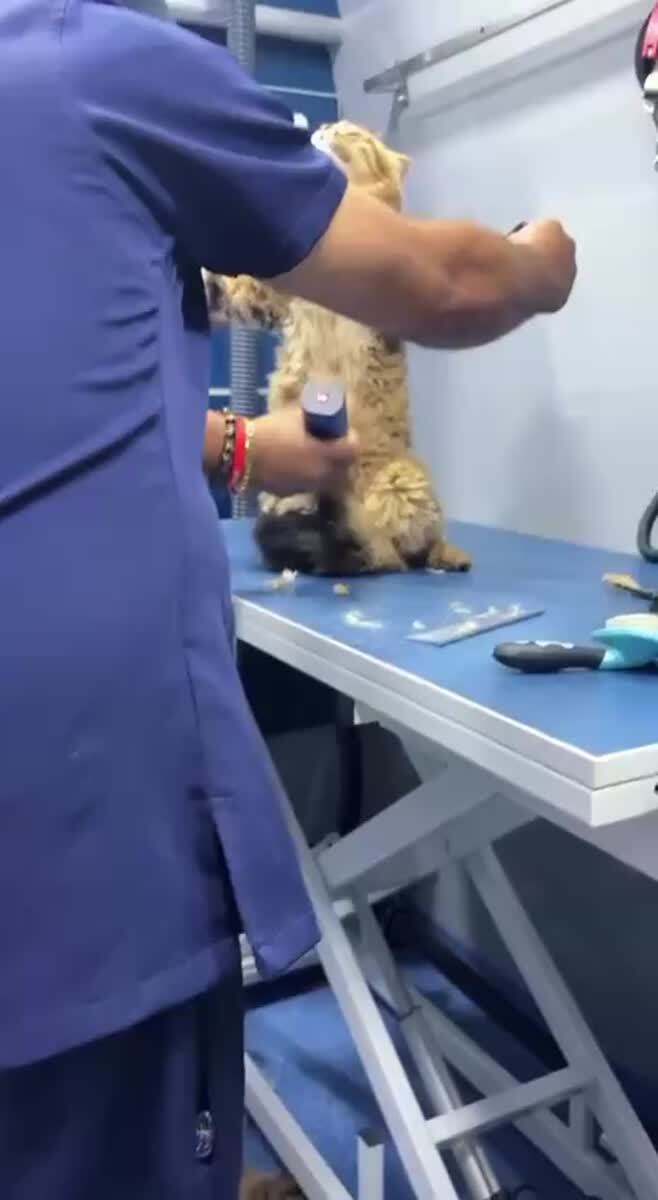 Медитация