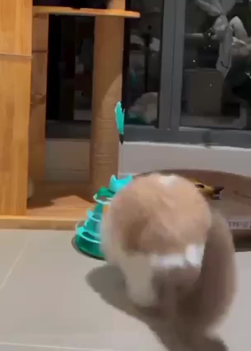 Тыгыдык