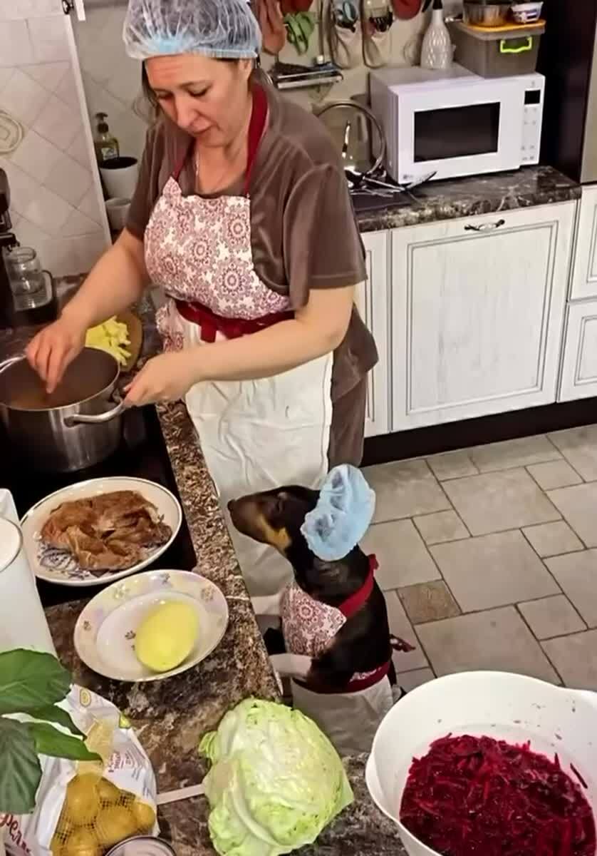 Главное, что санитарные нормы соблюдены