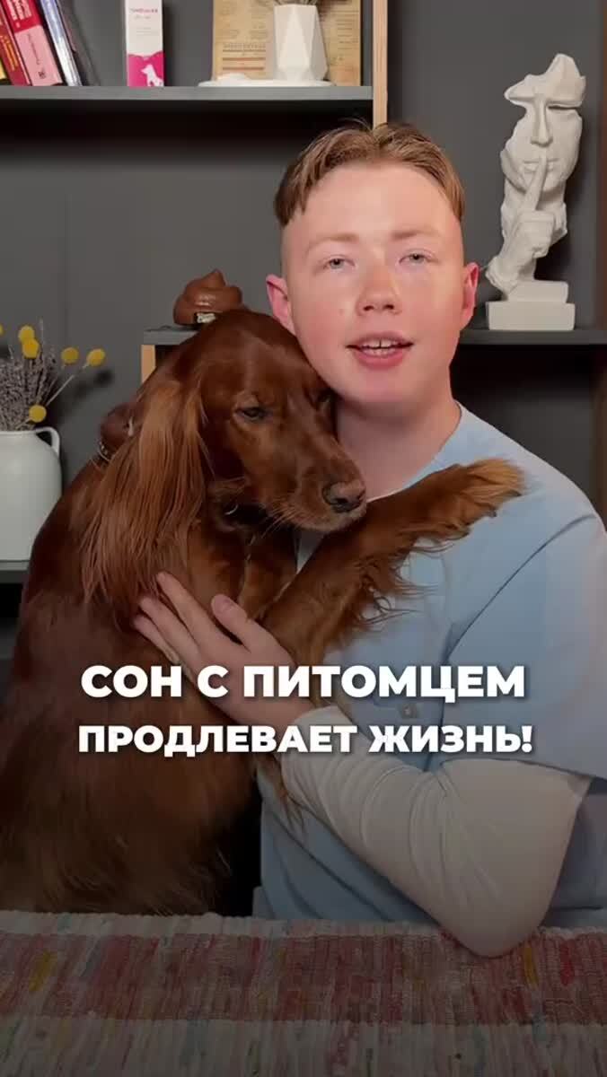Сон вместе с собакой продлевает жизнь и убивает стресс — исследование.Рядом с питомцем у человека снижается стресс, уменьшается нагрузка на сердце, а тело и мозг быстрее успокаиваются.Учёные называют собак настоящими антидепрессантами на четырёх лапах.Поб