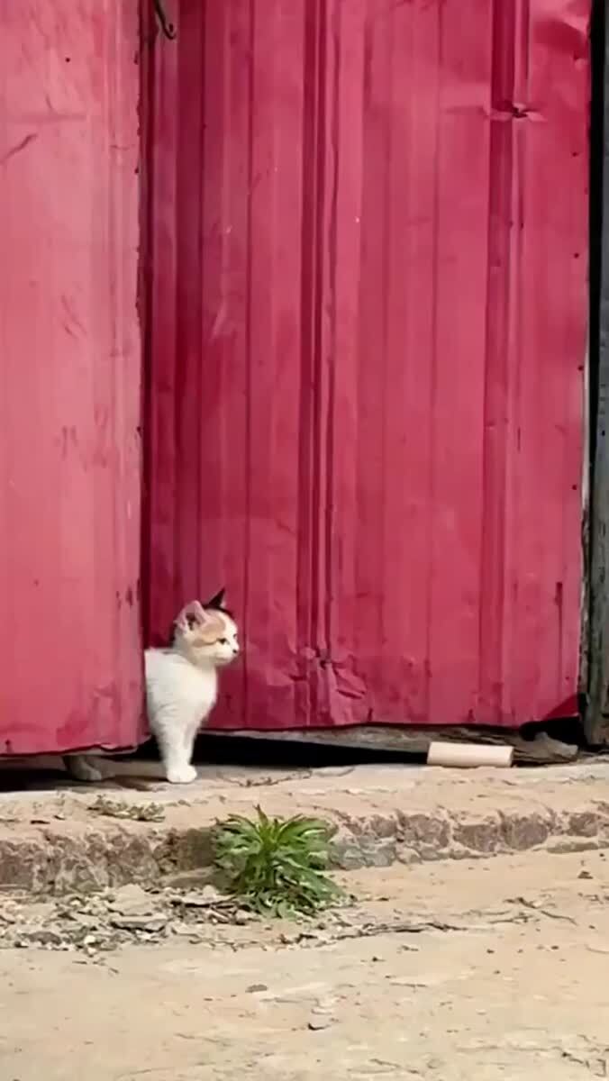 Я сейчас маму позову