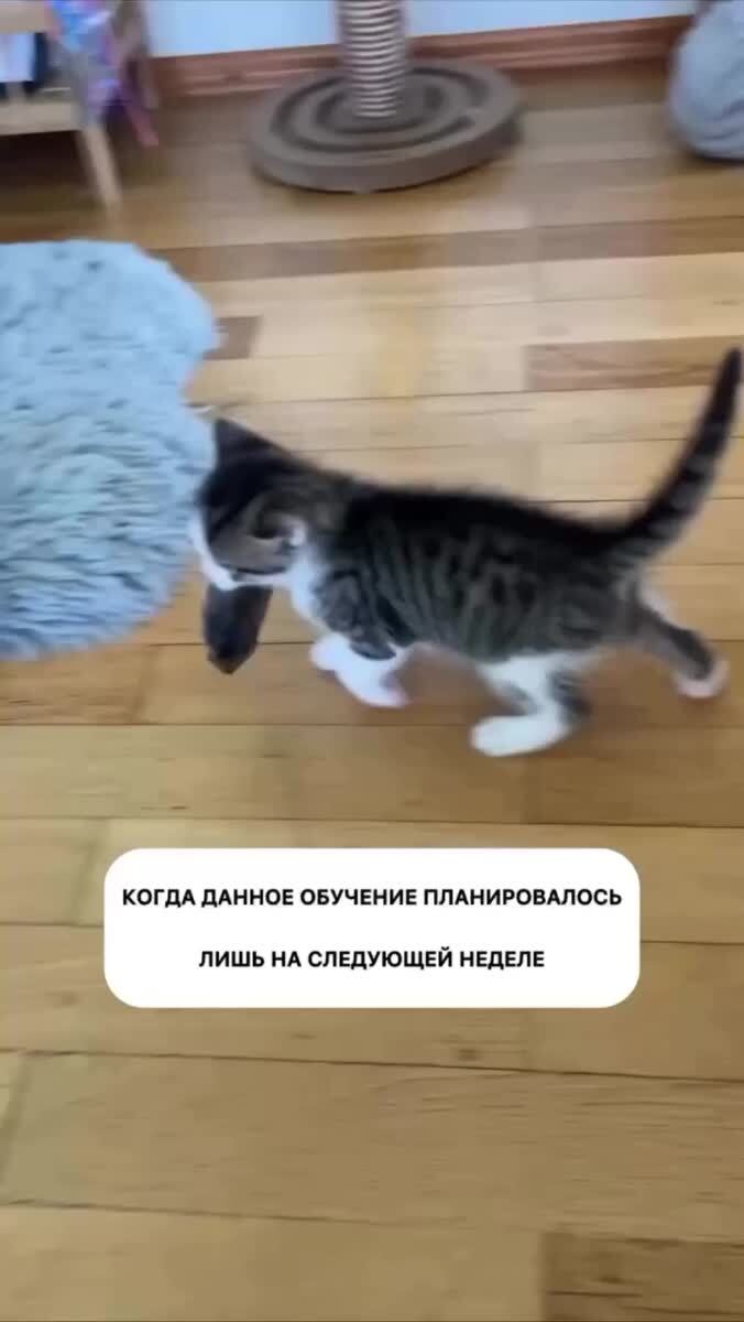 А что дальше?