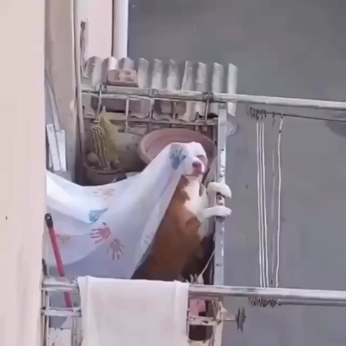 - Нет не принцесса!- А кто же?- Королевна!!!