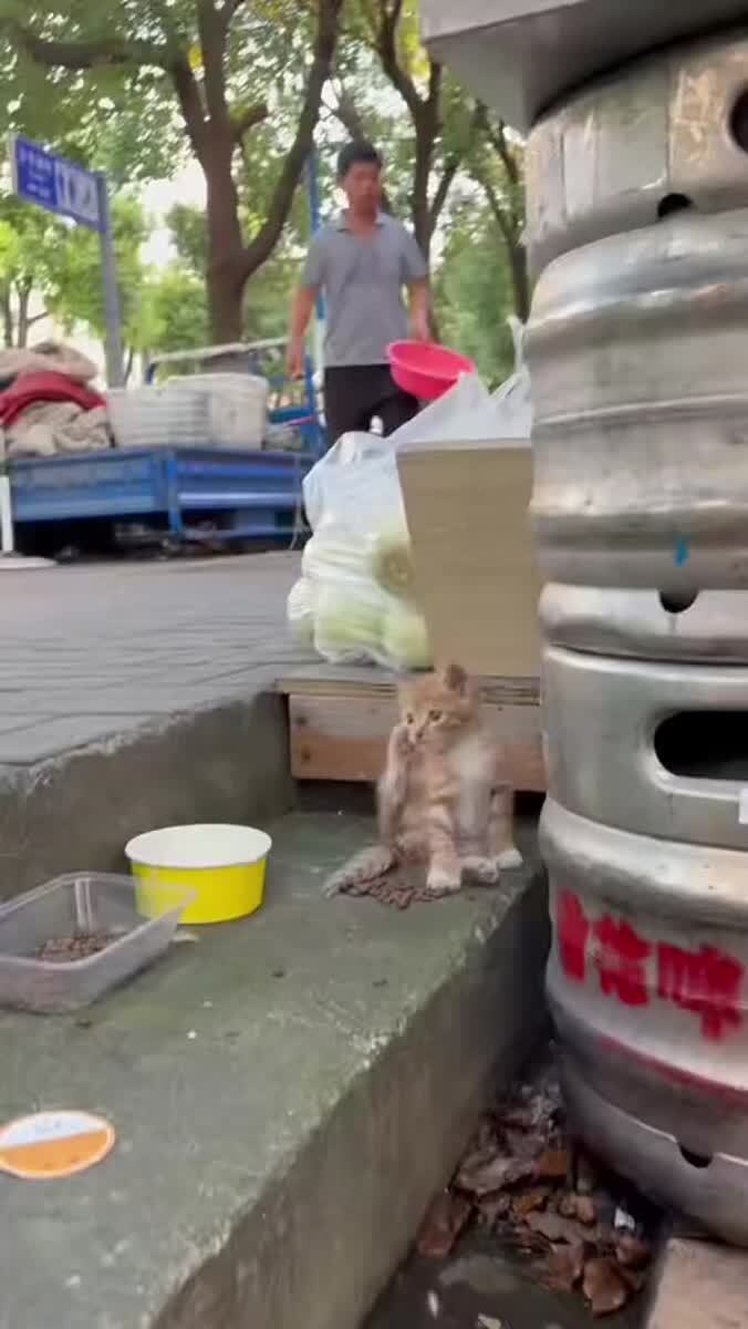 Не справился с управлением