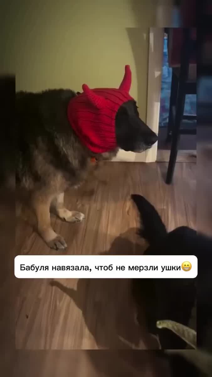 Мем #35488