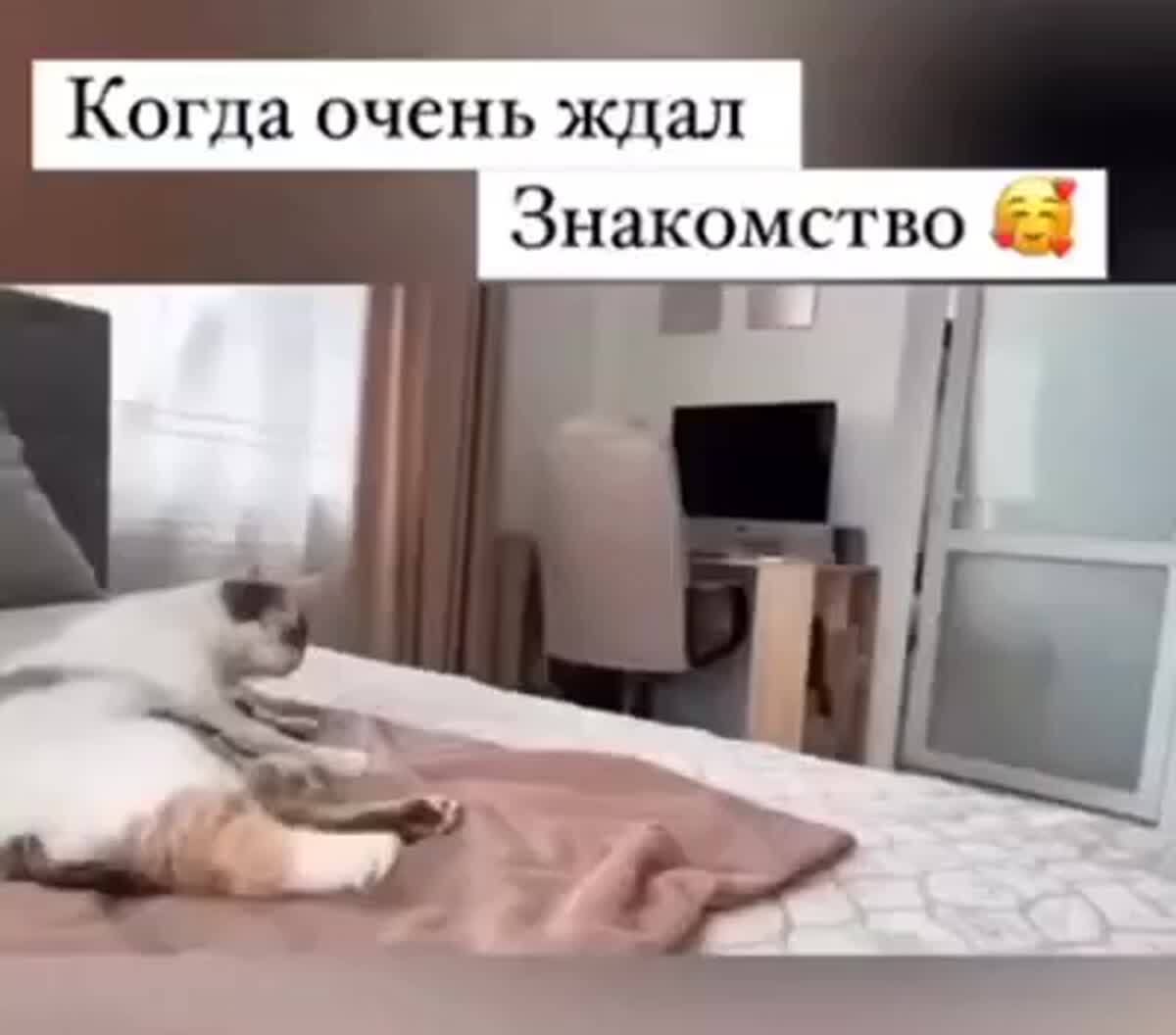 Уровень ми-ми-ми зашкаливает