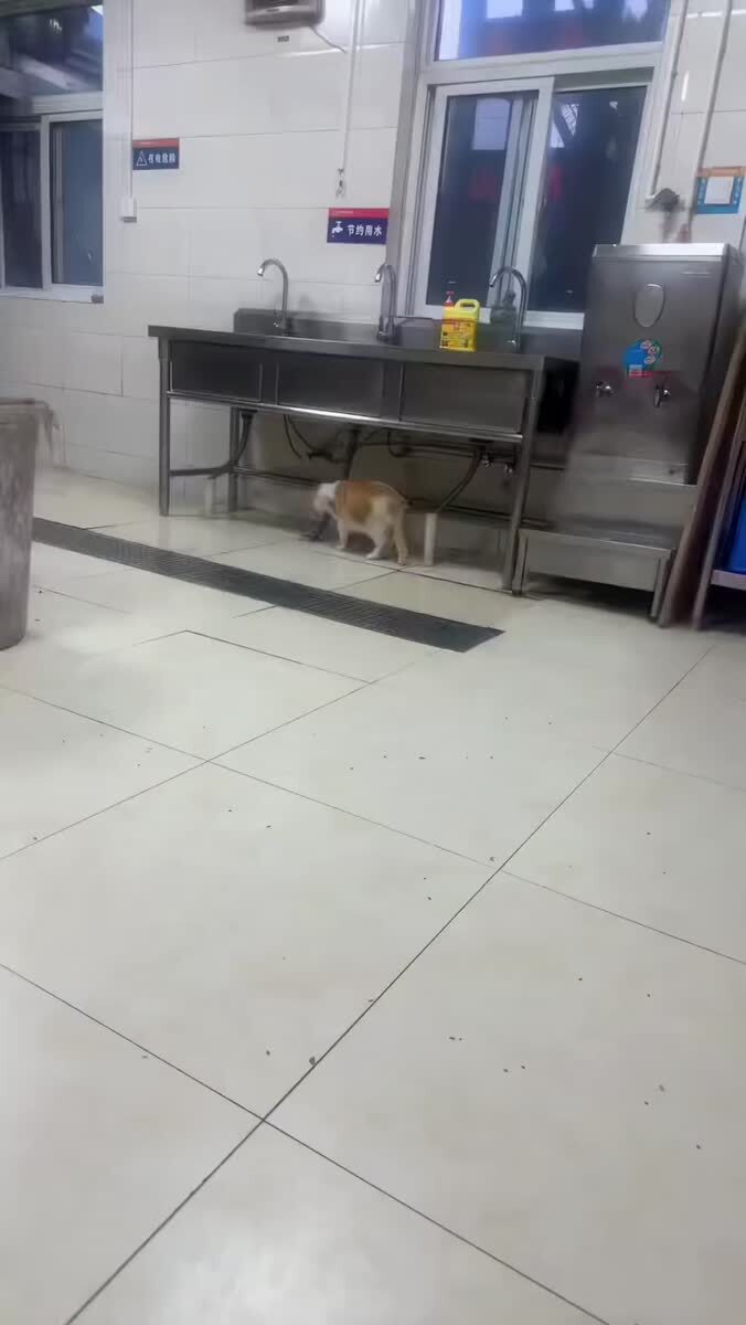 Когда не соврал в резюме