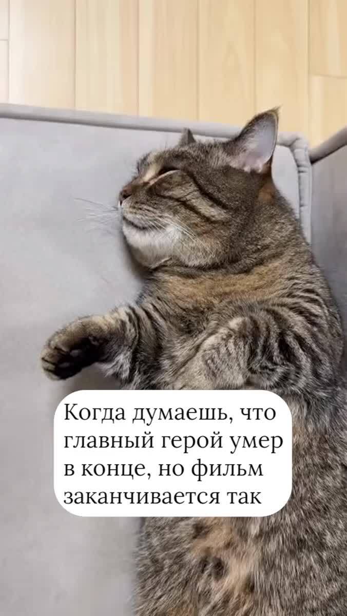 Задел на продолжение