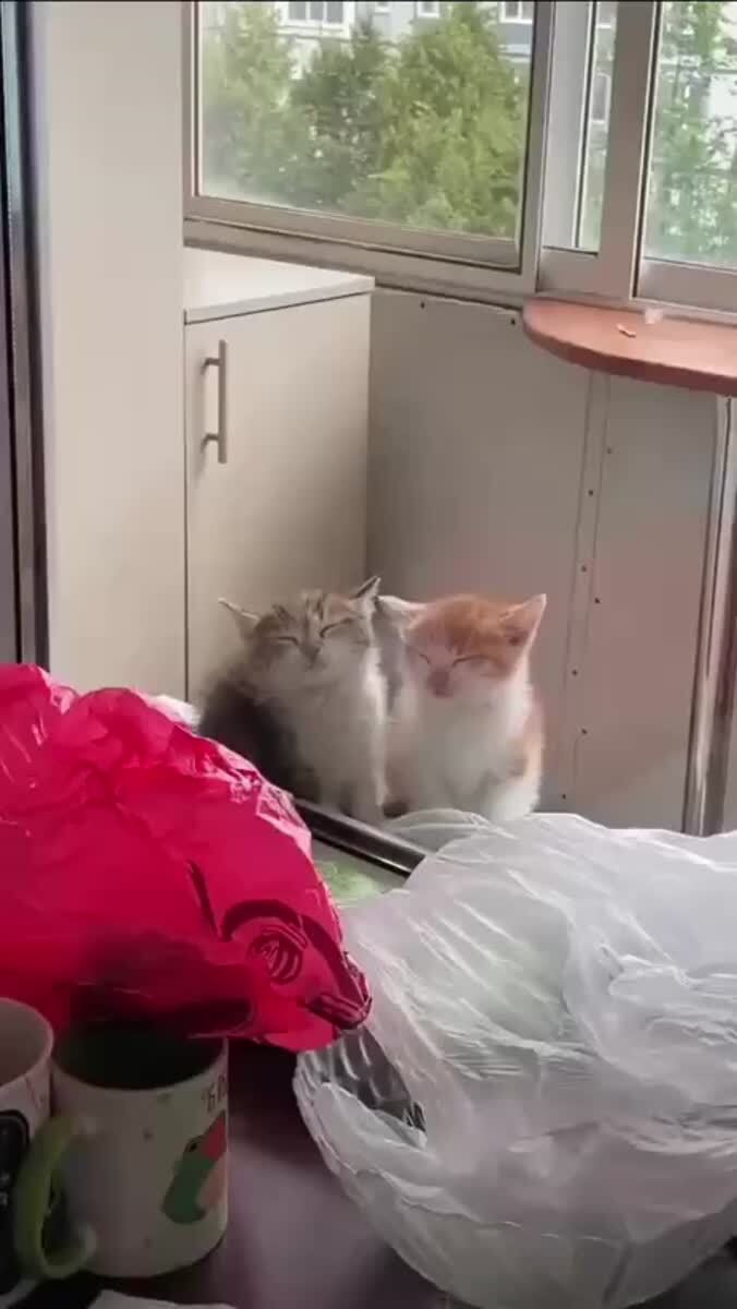 Мы с коллегой на утренней планёрке.