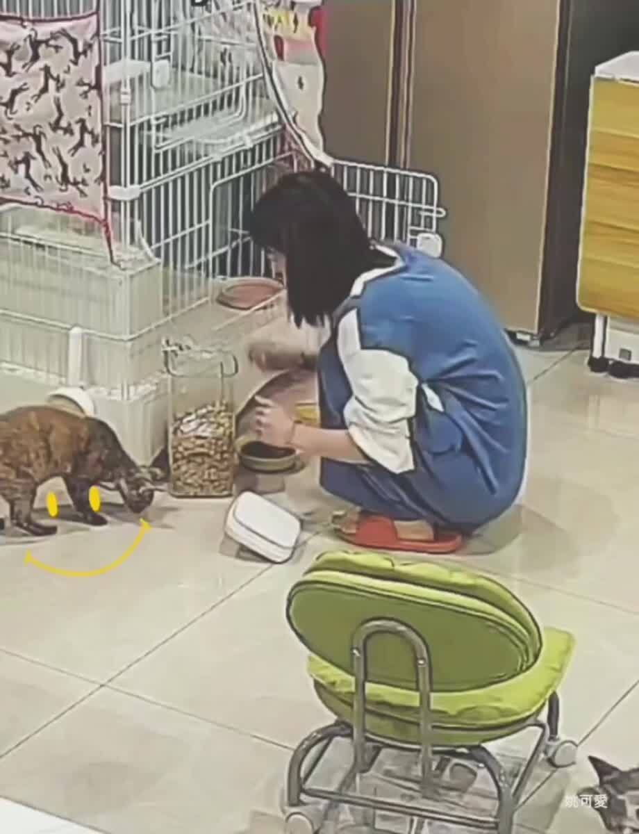 Этот котик точно знает, что такое забота