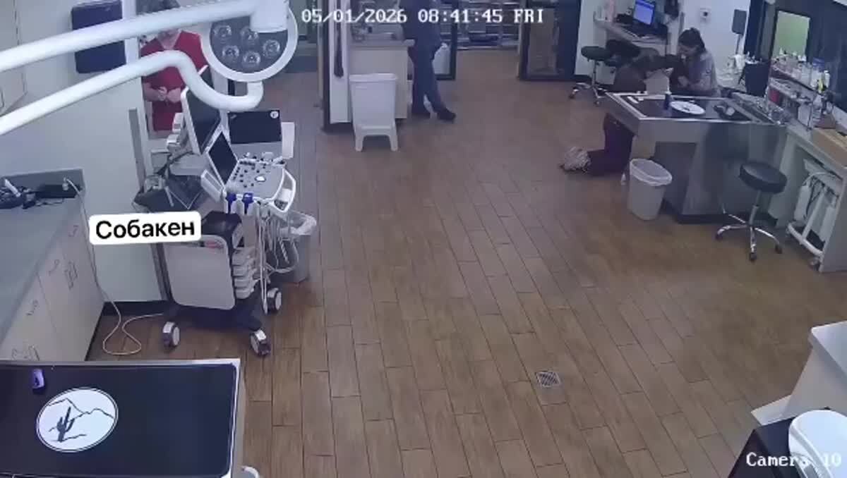 Собакен на приёме у ветеринара понял, что ему надоело там сидеть, и решил уйти домой вместе с врачом