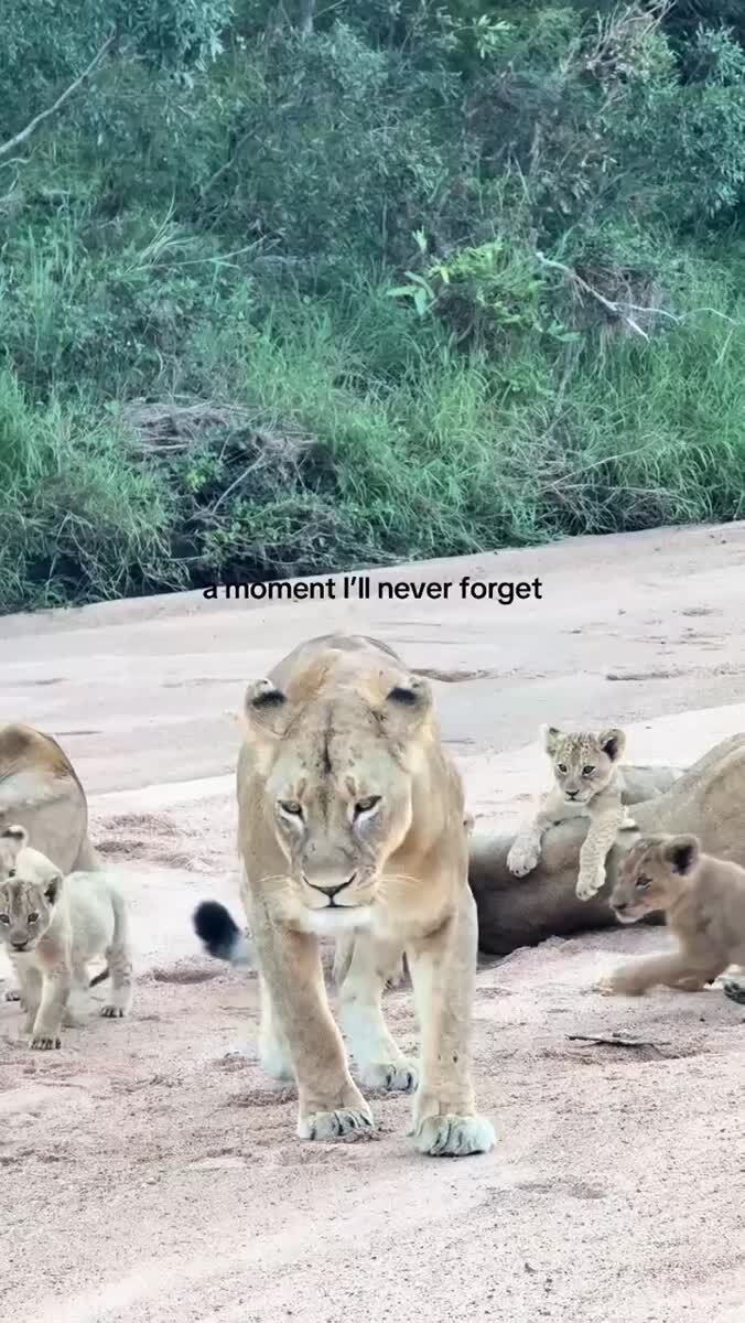😍😍😍