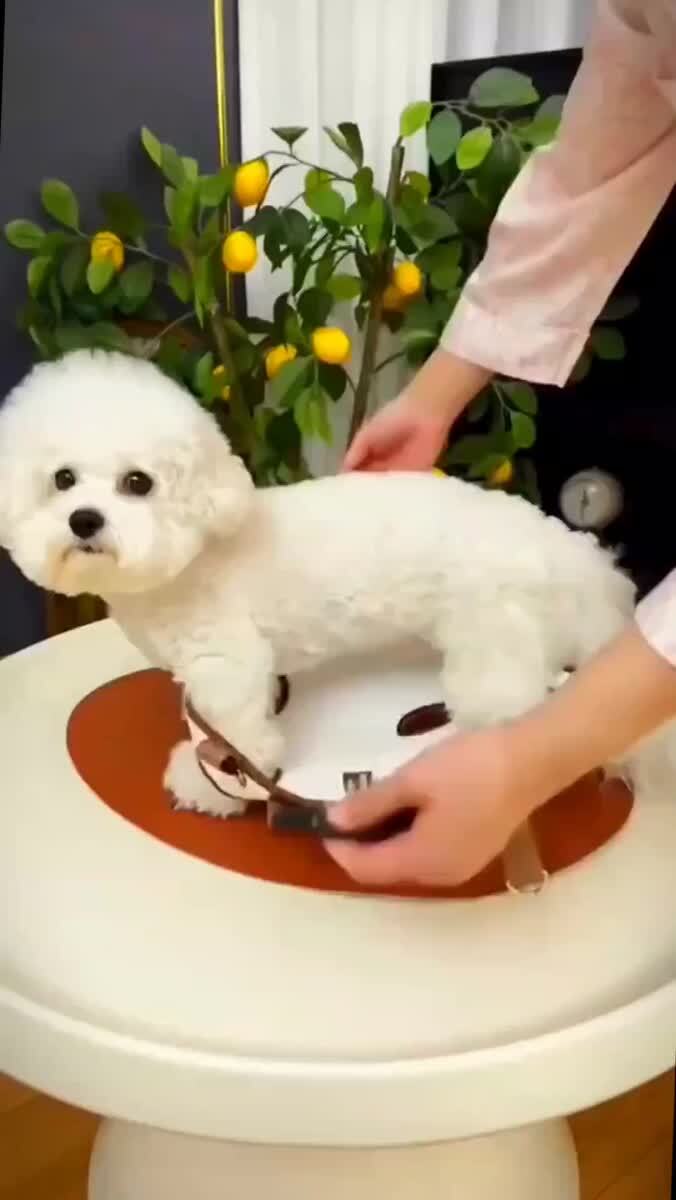 Мне срочно нужна эта сумка
