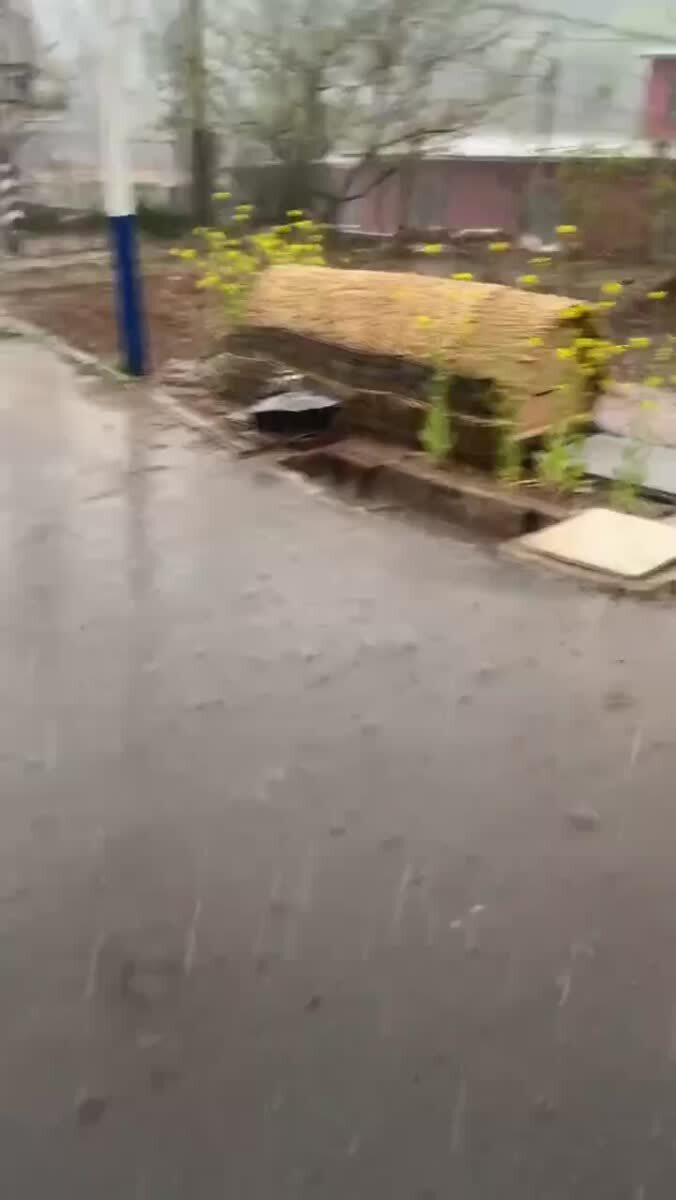 Котохранилище