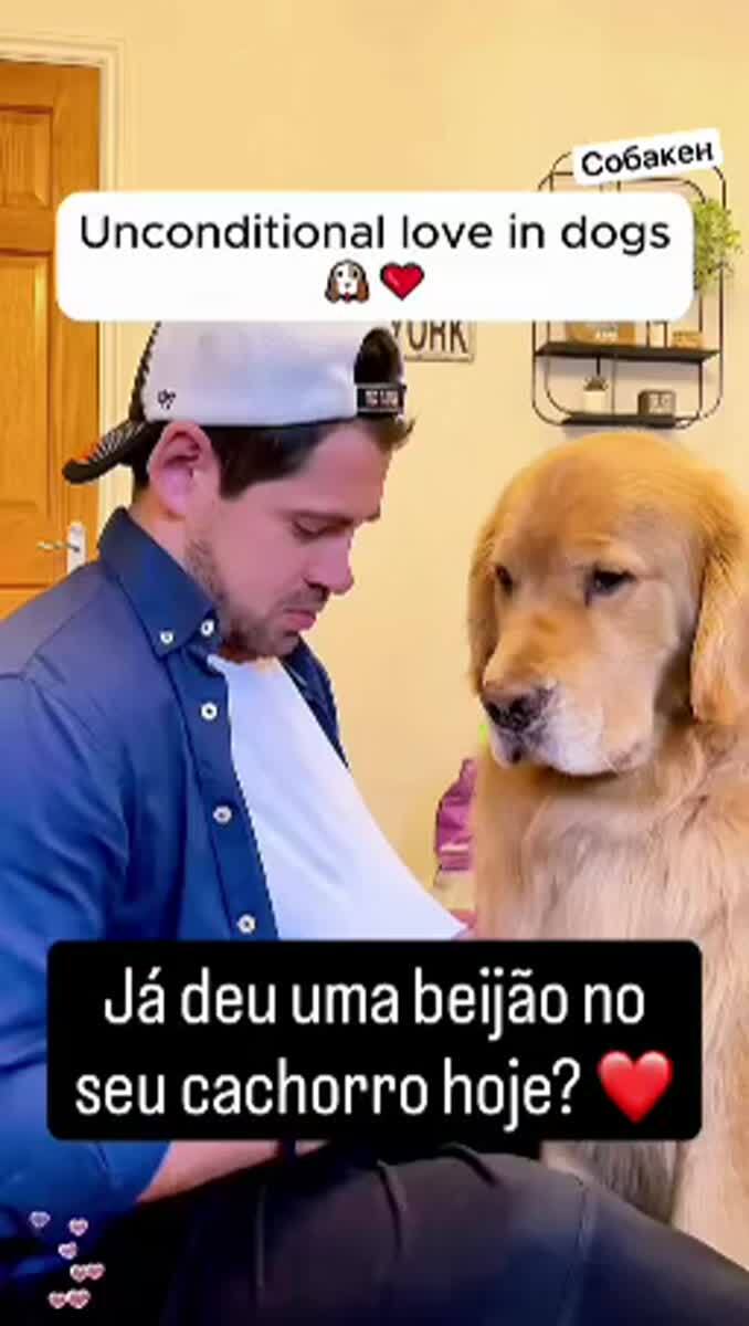 Ничего милее вы сегодня не увидите