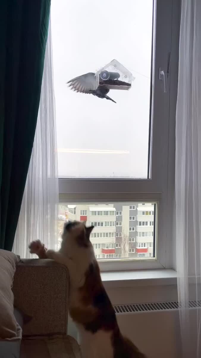Тренировка