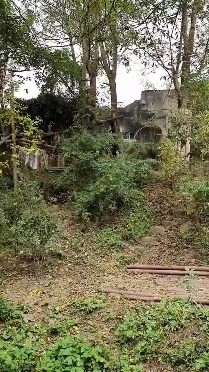 Скатился к обеду