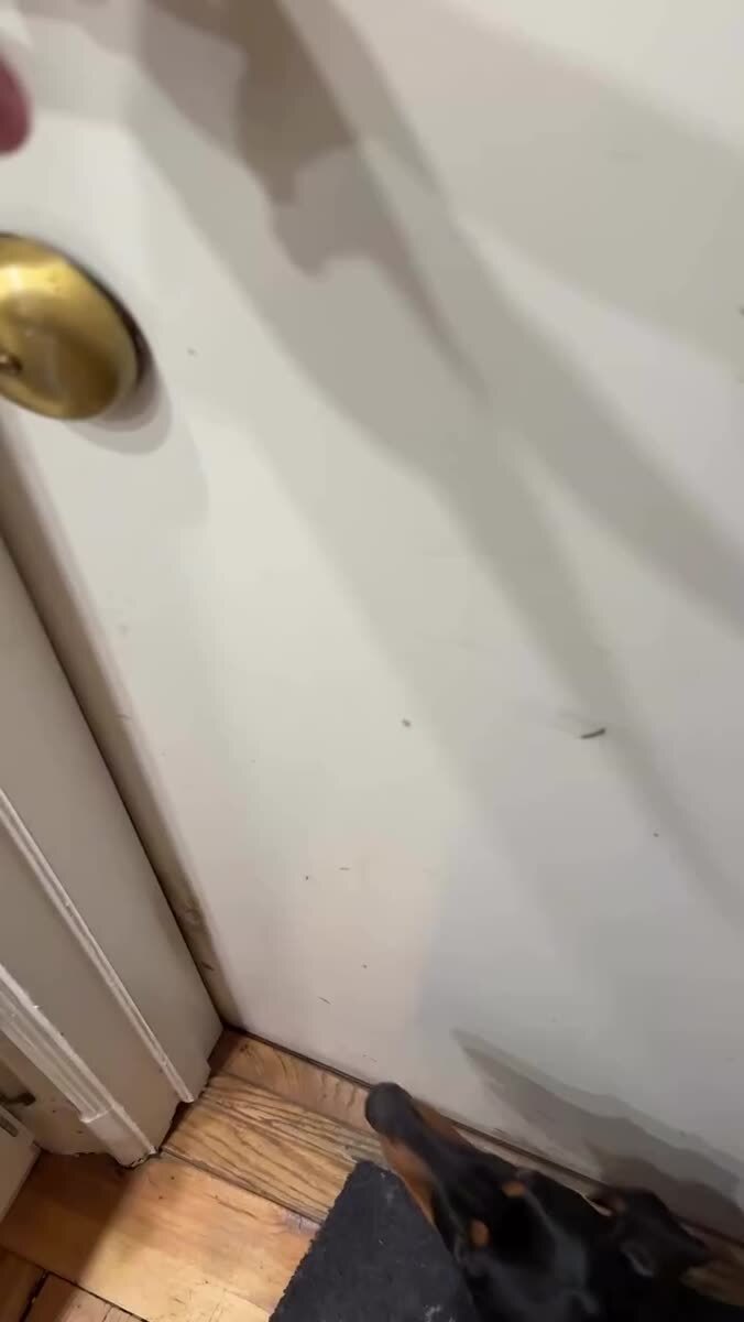 Мы уже не хотим гулять. Дома посидим