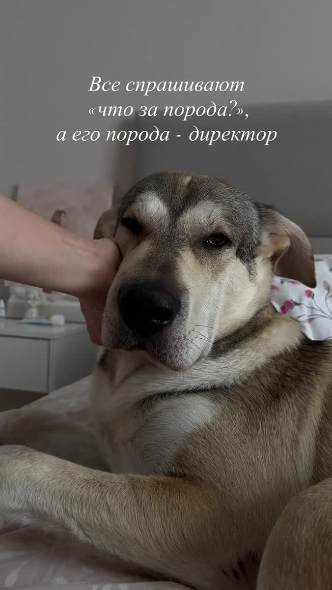 Мем #35543