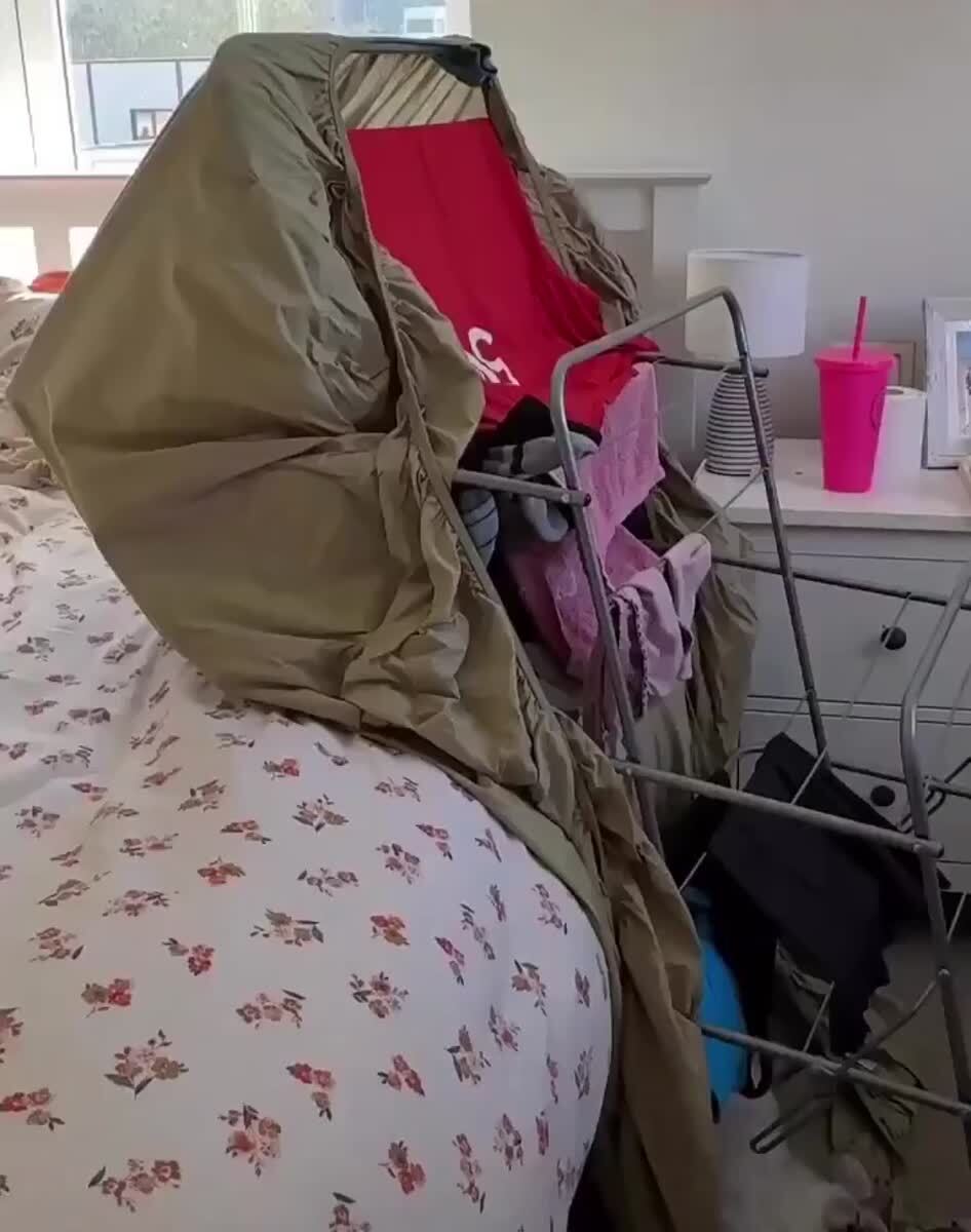 Не можешь скрыть преступление, притворись жертвой😵♥️ шерстяные проказники