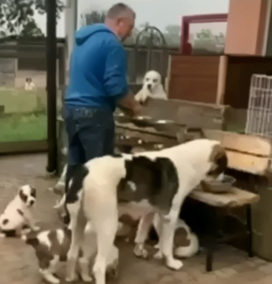 Умный. Надо брать