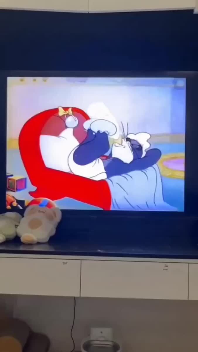 Произошёл косплей🍼♥️ шерстяные проказники
