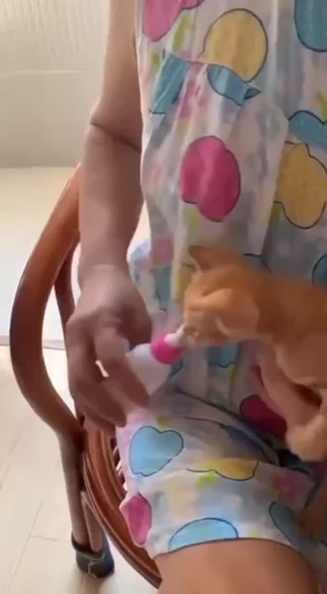 Дайте же этому зверю наконец поесть🦁♥️ шерстяные проказники