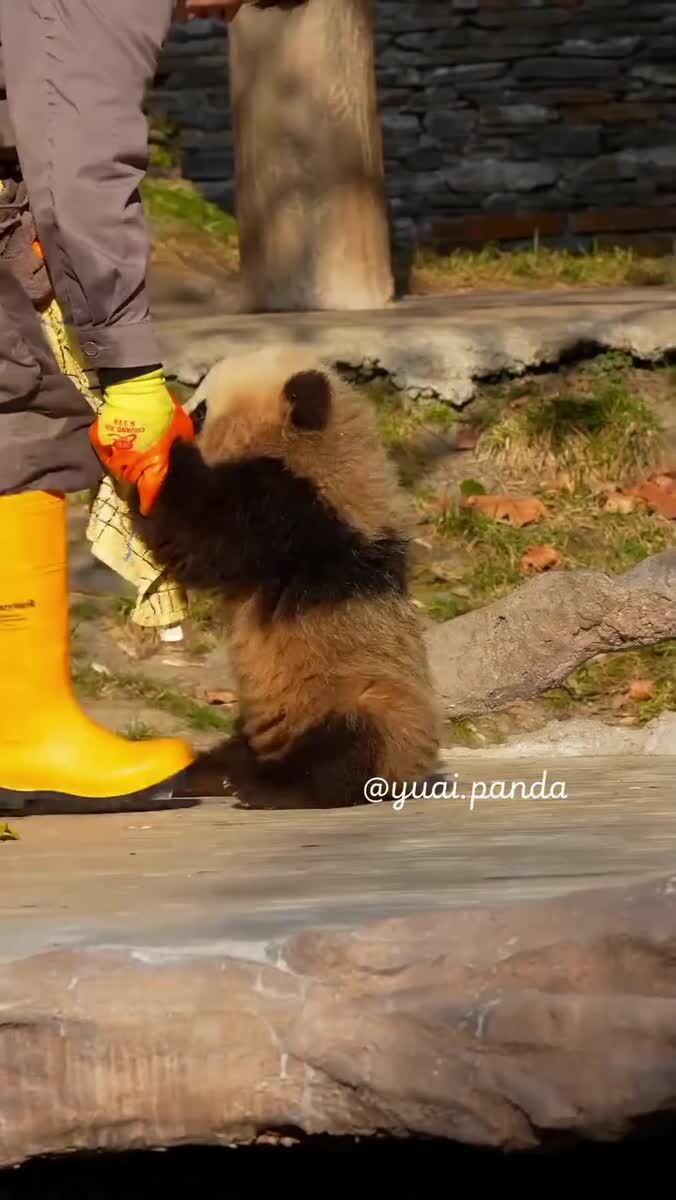 Моеееее
