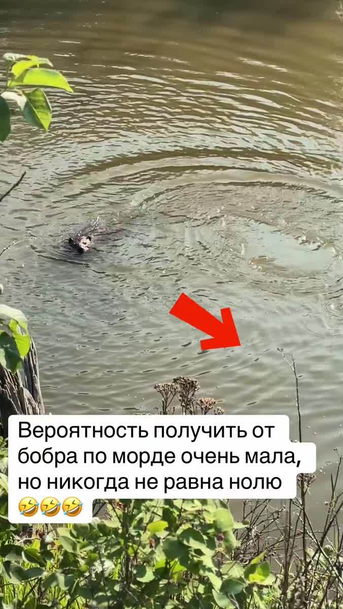 Маршрут перестроен