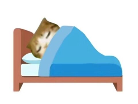 Котенок идёт спать!