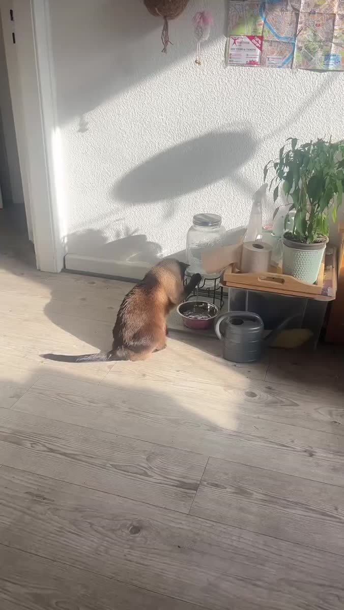 Настоящий гений