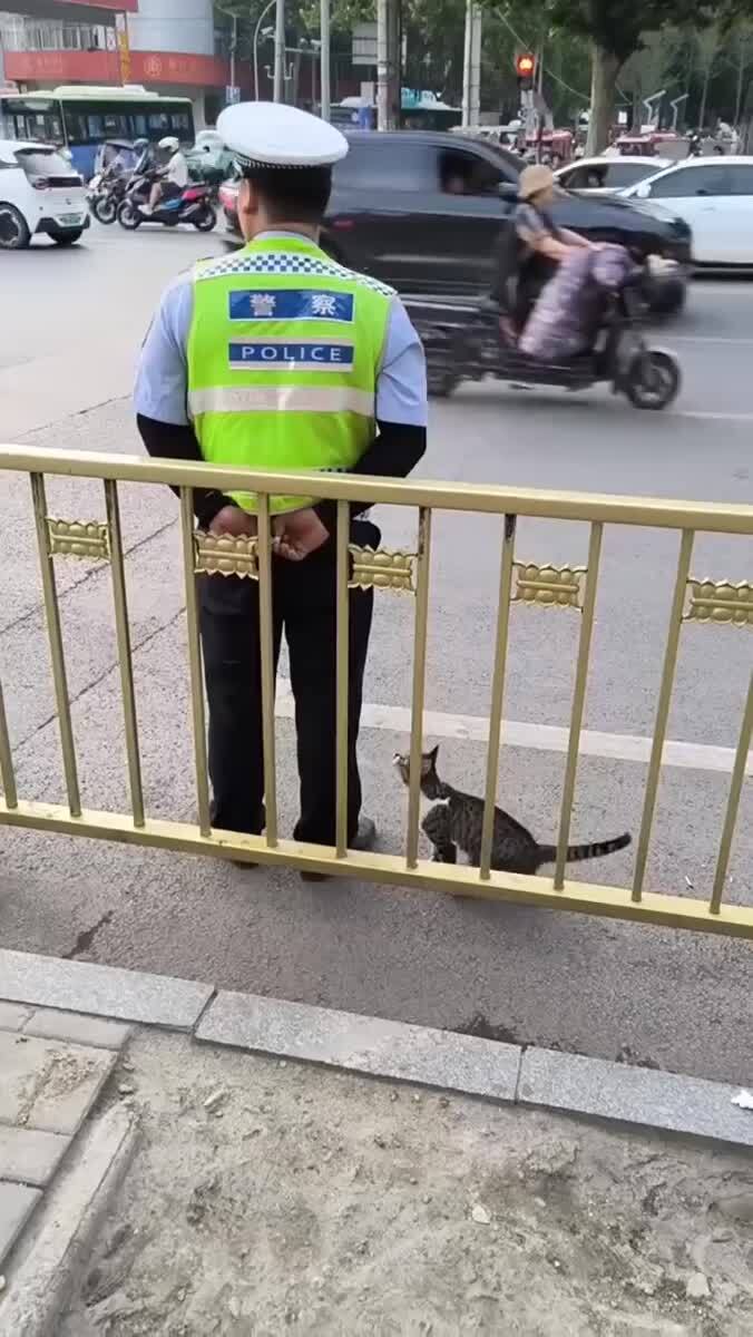 Добрый полицейский👮🏻‍♂️♥️ шерстяные проказники