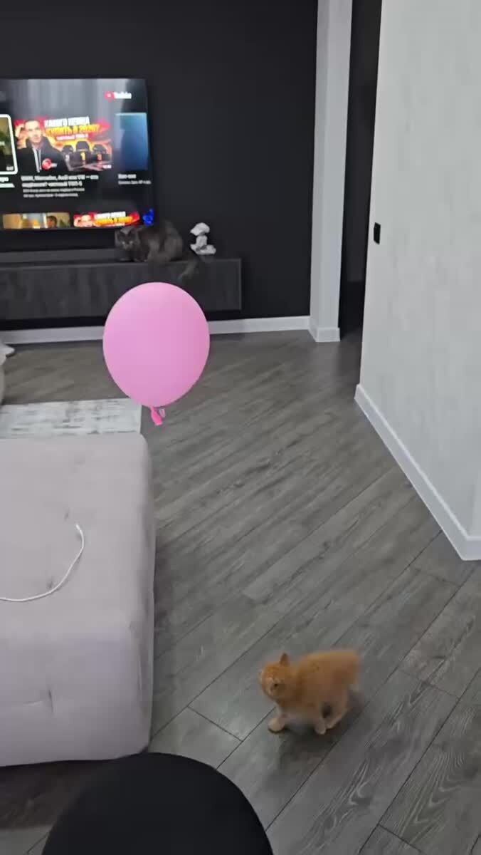 😍