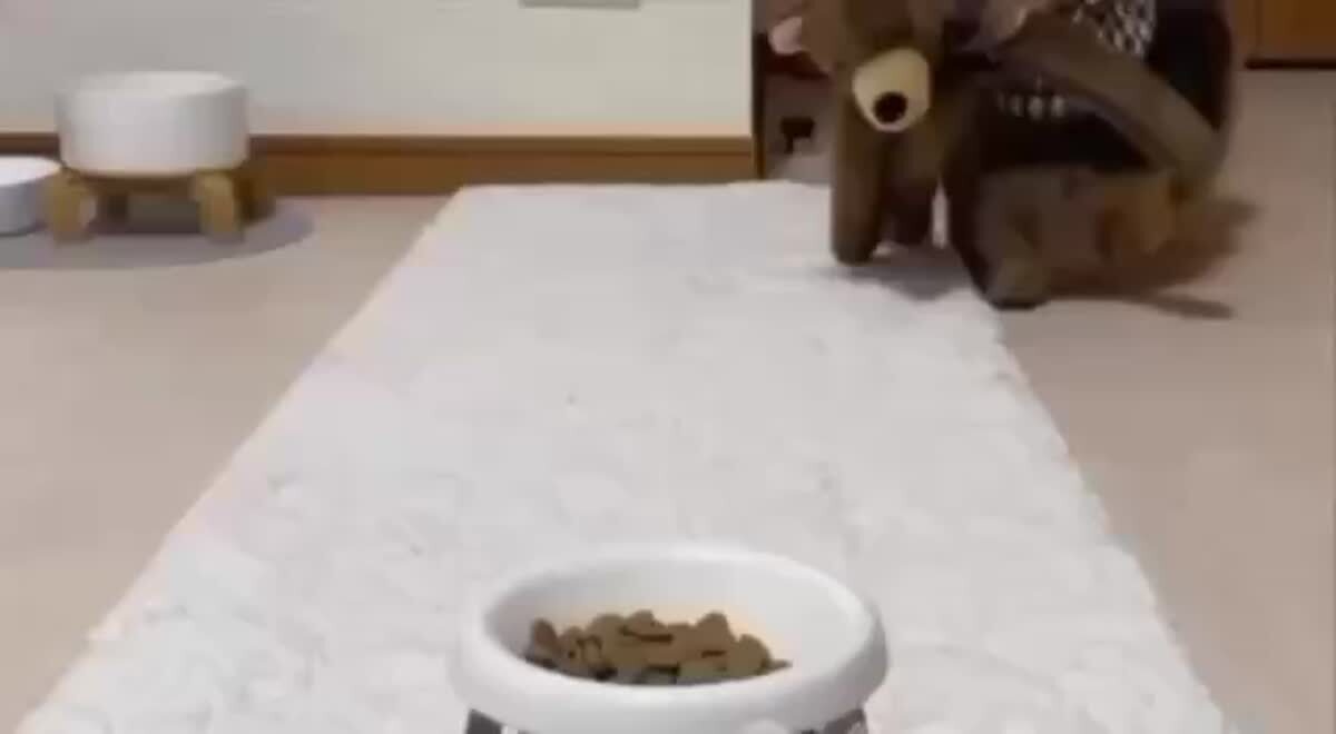 Перекус с друзьями