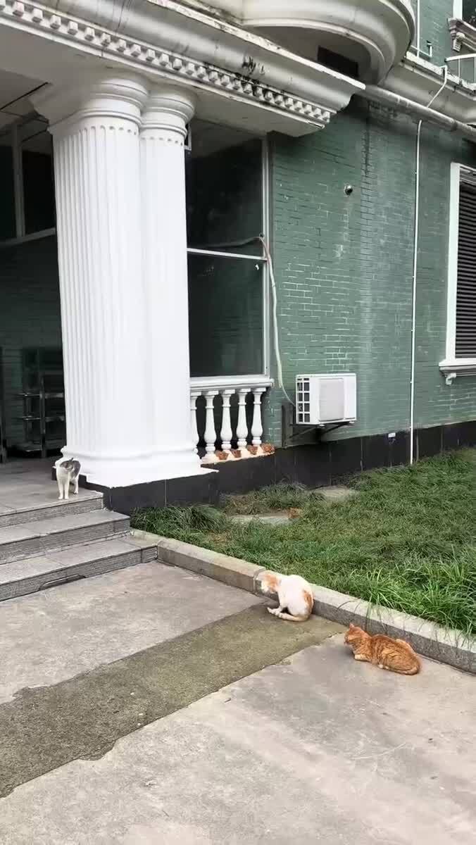 Припарковались