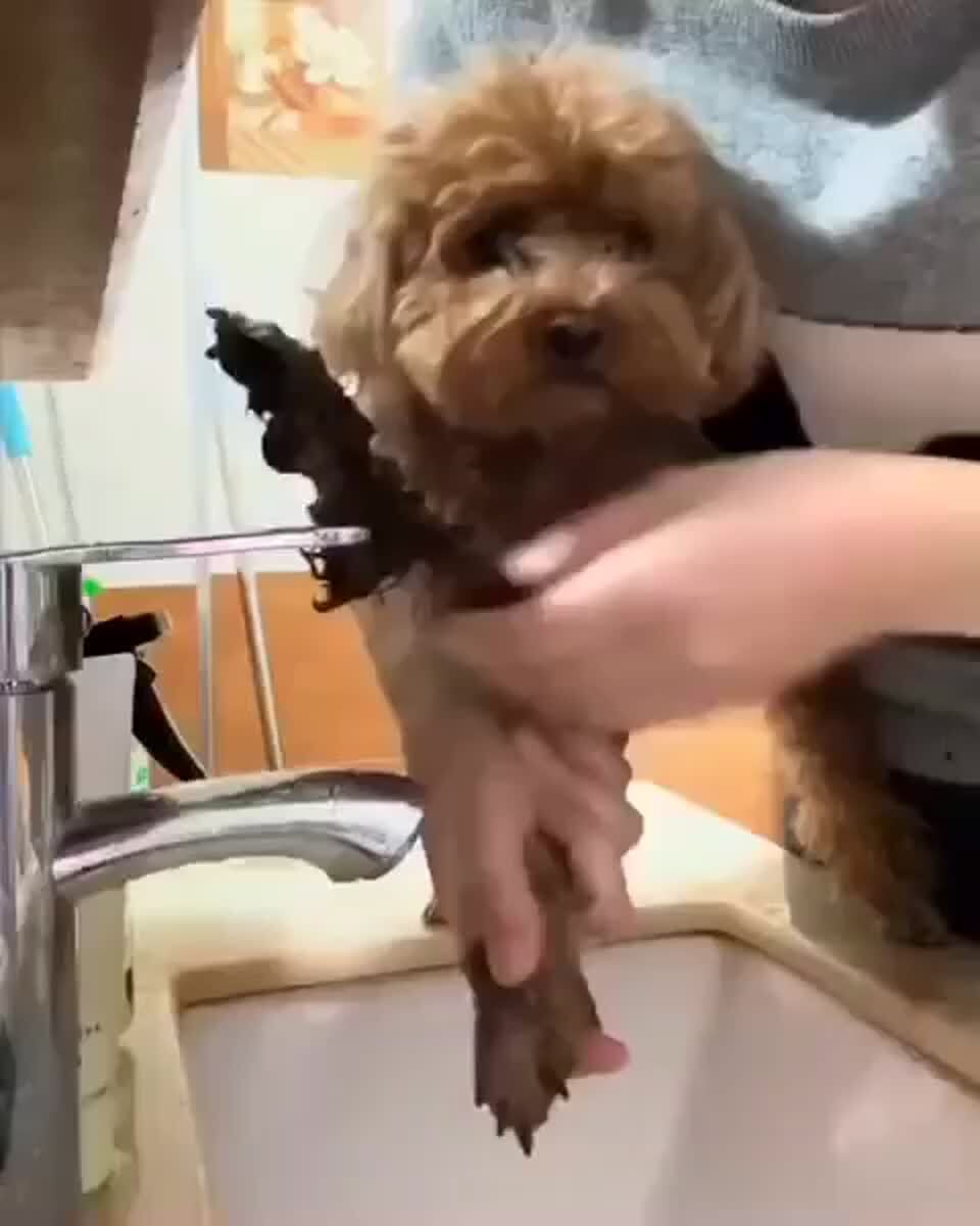 Сегодня мыться не буду