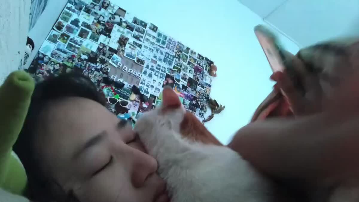 То что я называю "идеально проведённые выходные"🛏♥️ шерстяные проказники