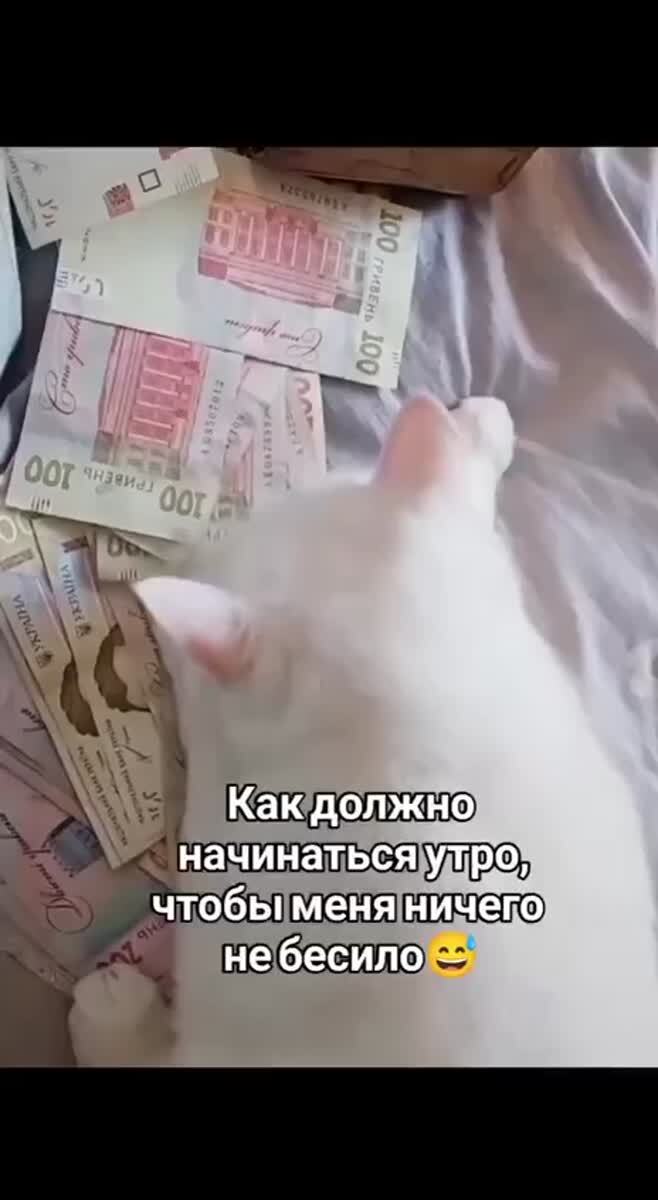 Мем #35586
