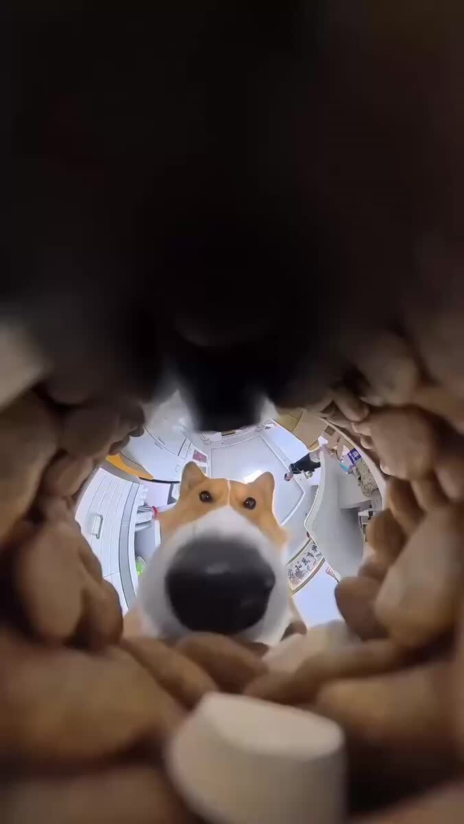 Вас съели
