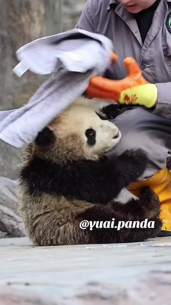 Грязнуля