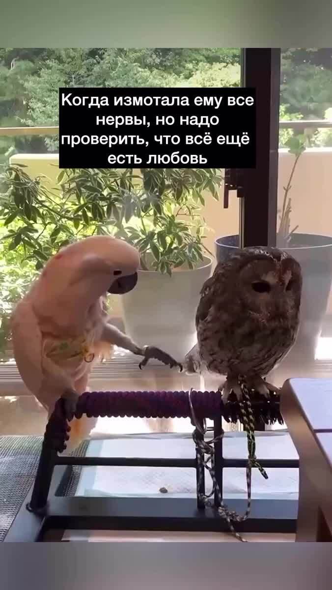 Мем #35590