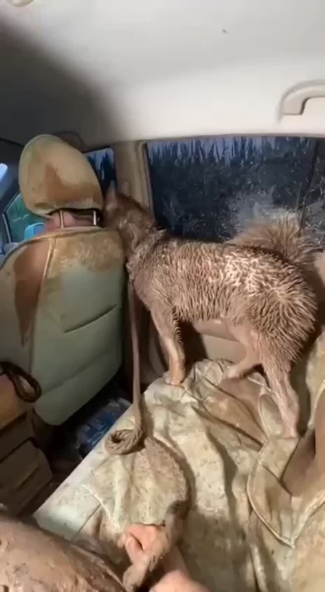 Прогулка удалась