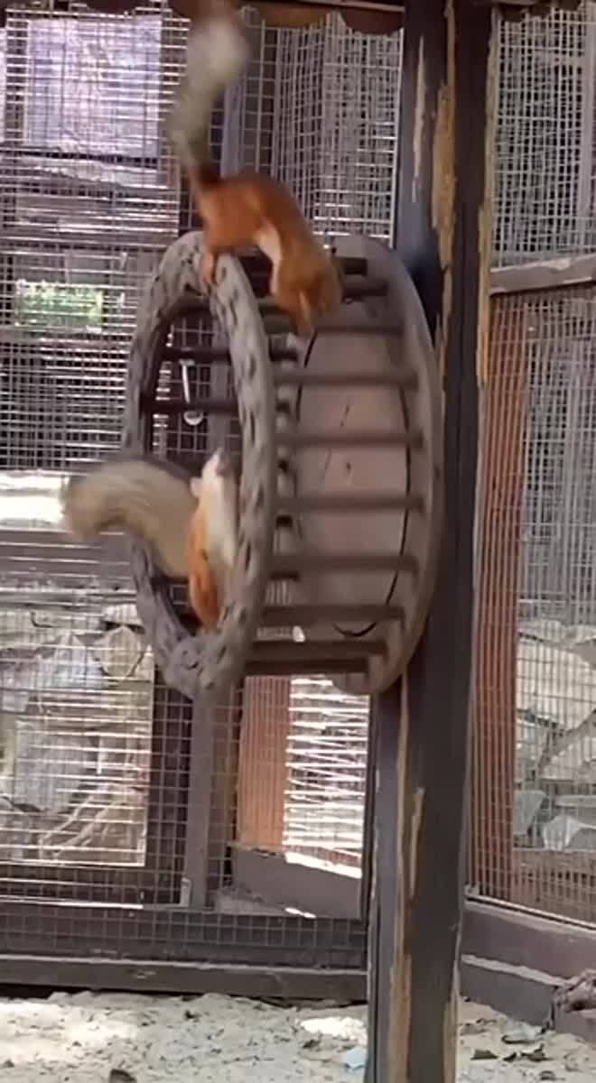 Состояние в среду