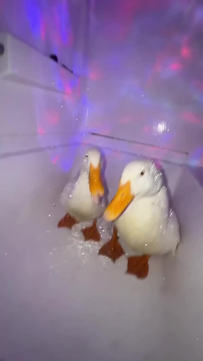 Как же они чувствуют! 
